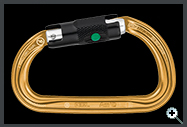 Petzl Am'D M34ABL Ball Lock Lock Carabiner . Gold
