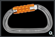 Petzl Am'D M34ATL Triact Lock Carabiner