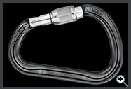 Petzl William M36ASL Screw Lock Carabiner