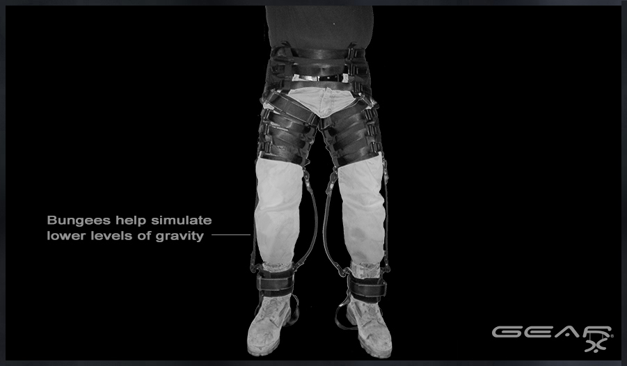 Custom GEAR Harness NASA 1