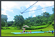 Bungee Sling Shot . The Beach Bar . Vanuatu